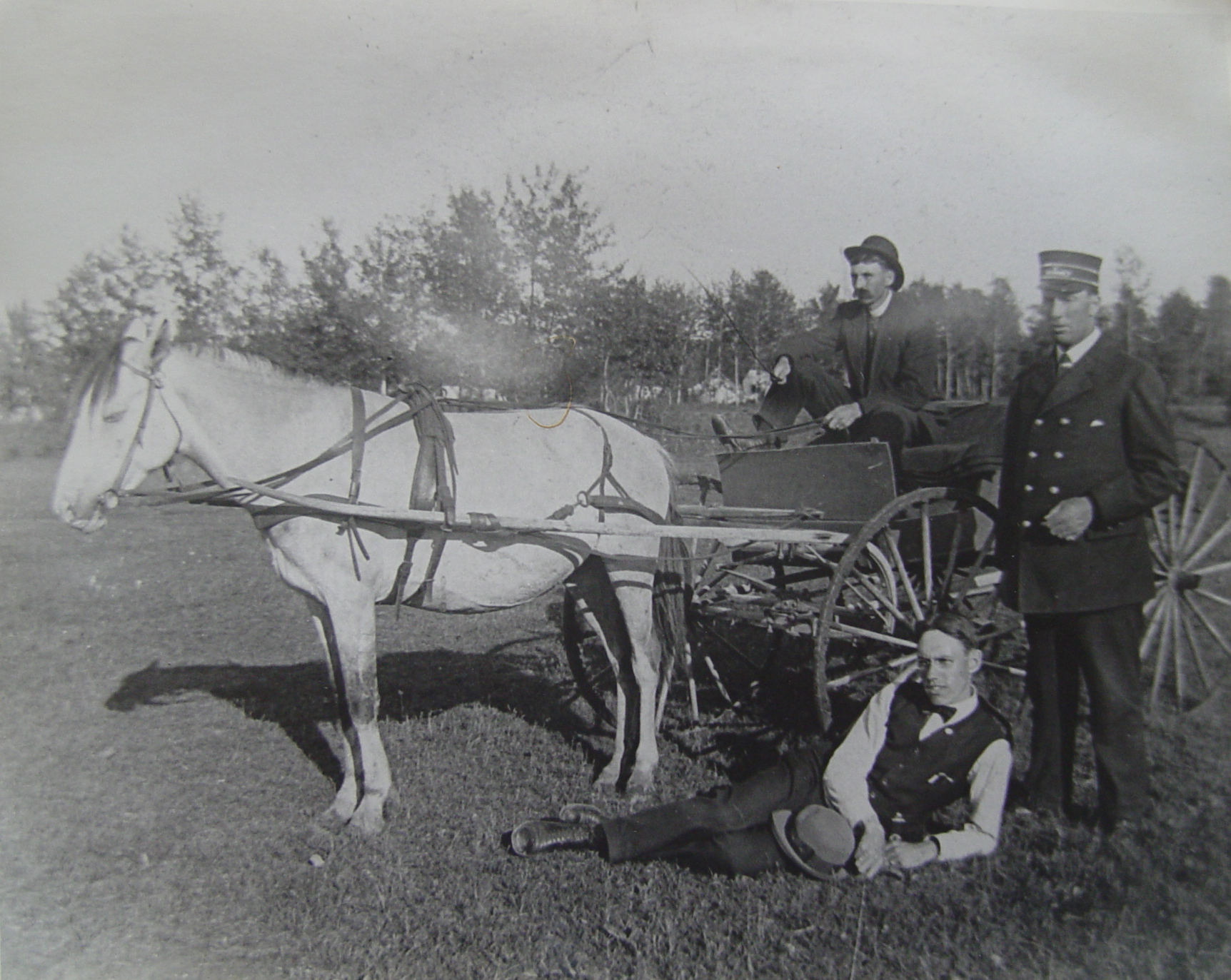 dollandbuggy