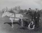 dollandbuggy