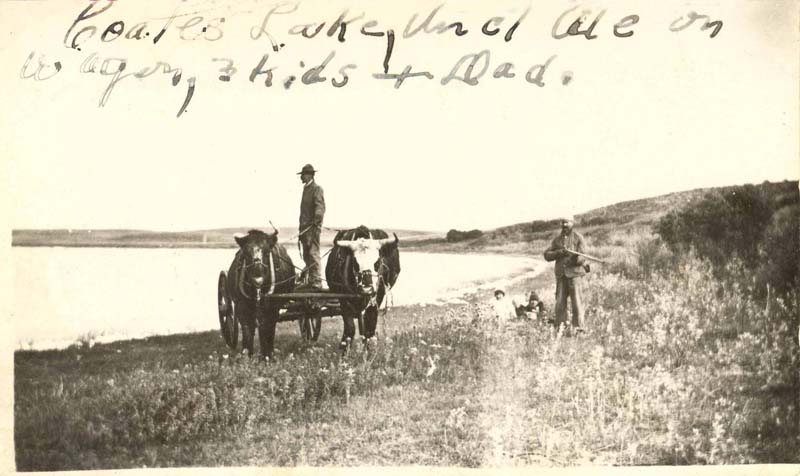 FAC and Al lake