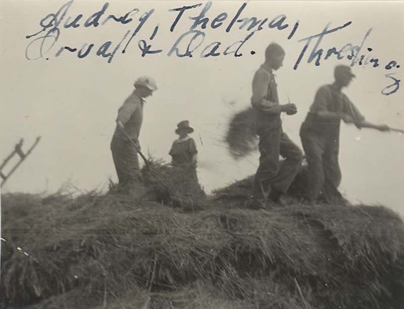 threshing