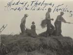 threshing